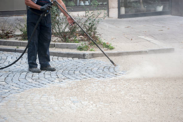Animal Enclosure Cleaning in Madeira, OH